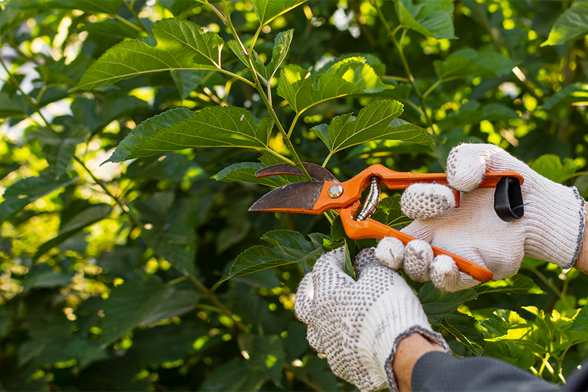 Lawn Care Services in Hudson, NY